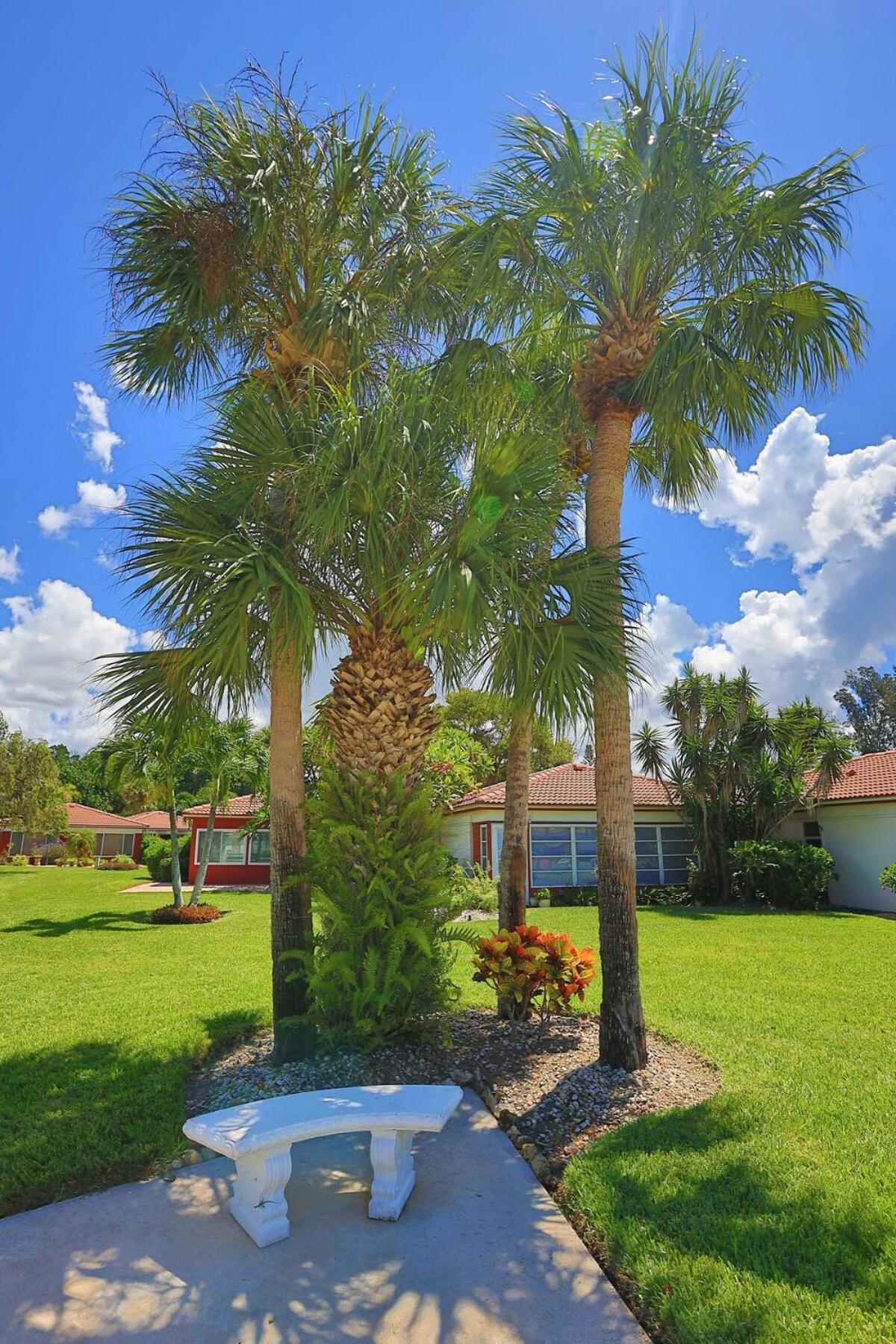 סרסוטה Updated Condo With Pool, Walk To Crescent Beach & Restaurants! מראה חיצוני תמונה